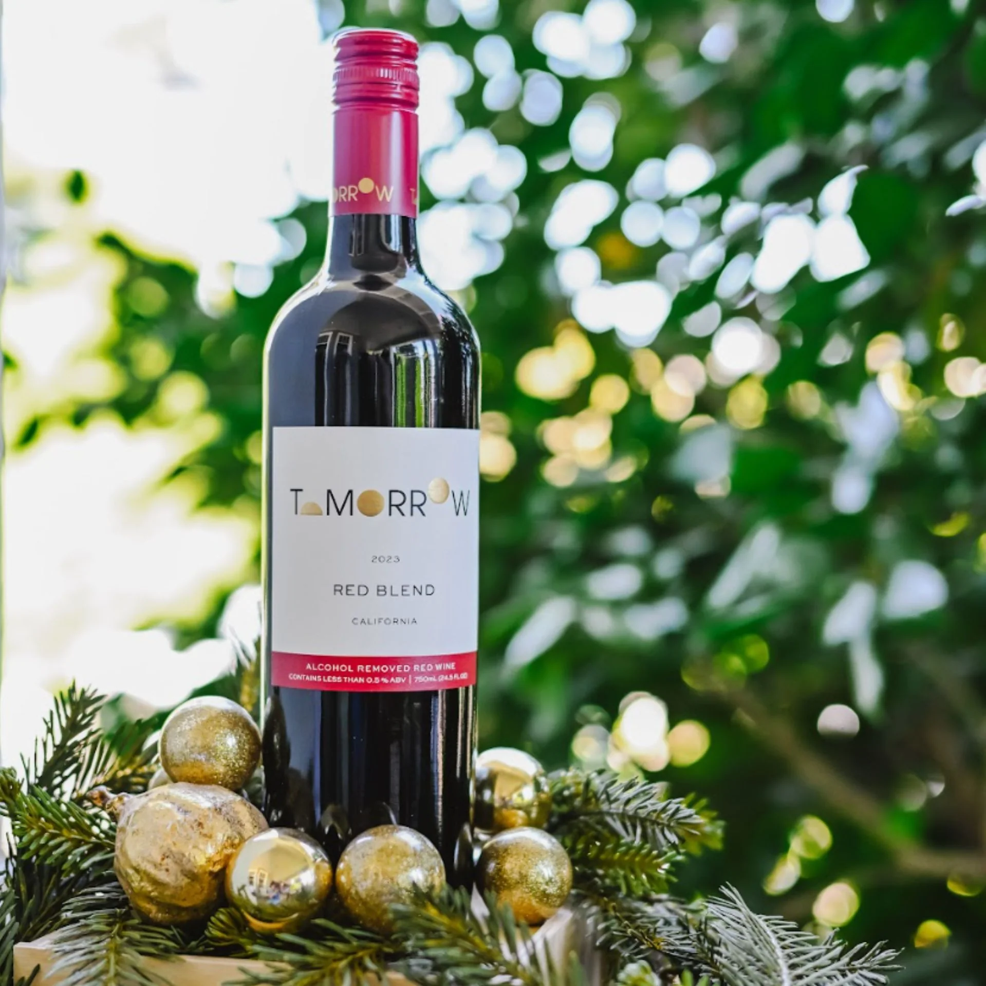 Tomorrow Cellars - 2023 Red Blend 750 ml - Image 4