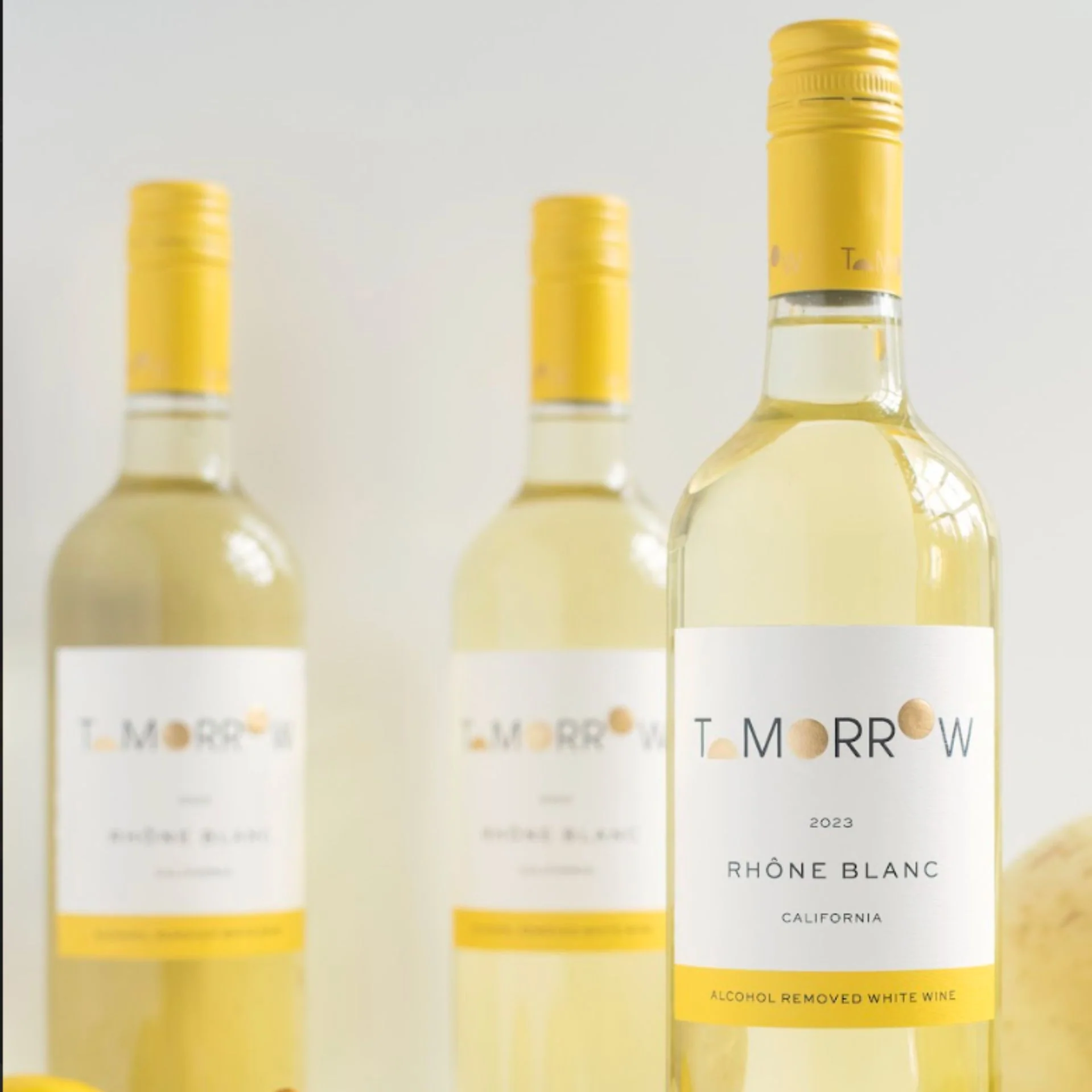 Tomorrow Cellars - 2024 Rhone Blanc 750ml - Image 3