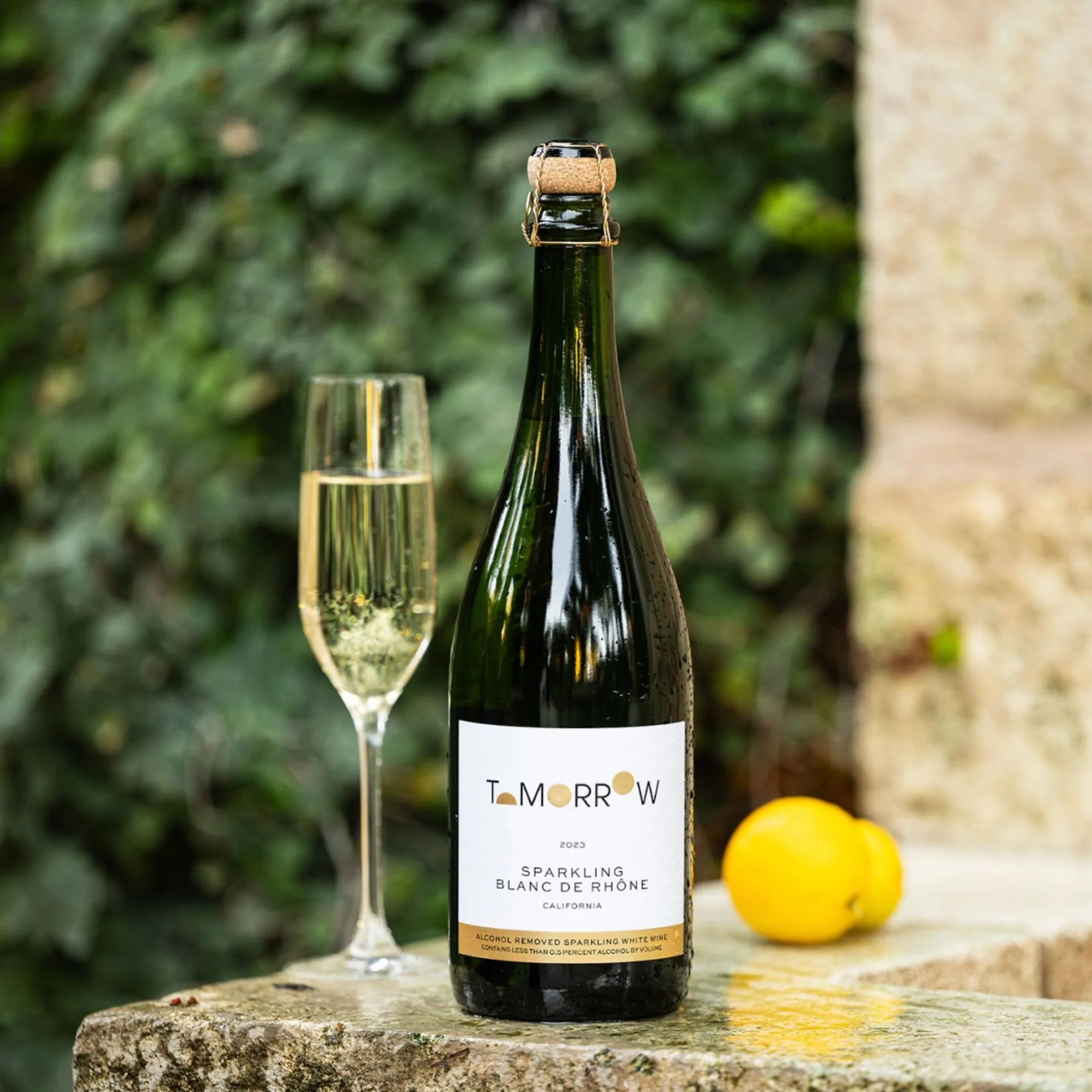 Tomorrow Cellars - 2024 Sparkling Blanc De Rhône 750ml - Image 3